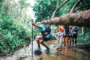 BIB: 
                            <button type="button" onclick="openModal(25373905)" class="btn btn-primary btn-sm float-right btn-popup" data-toggle="modal" data-target=".modal-high-quality">
                        <i class="fas fa-shopping-cart"></i> Add to Cart
                    </button>
                                            <button type="button" onclick="isThisMe(25373905, true)" class="btn btn-success btn-sm float-right btn-popup btn-isme hidden" data-toggle="tooltip" data-placement="bottom" title="นี่คือรูปของคุณใช่ไหม คลิกที่นี่เพื่อเอาเข้าอัลบั้ม">
                        <i class="fas fa-plus"></i> Add to album
                    </button>
                    <button type="button" onclick="isThisMe(25373905, false)" class="btn btn-warning btn-sm float-right btn-popup btn-isnotme hidden">
                        <i class="fas fa-ban"></i> Remove from album
                    </button>